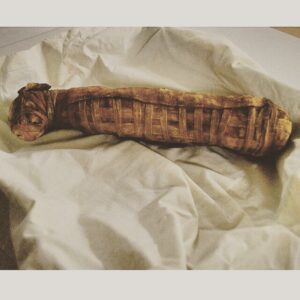 Mummified cat.